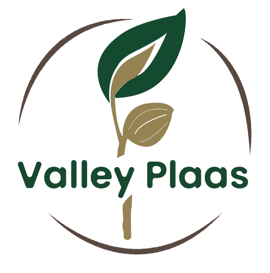 Valley Plaas